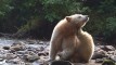 Thumbnail 22