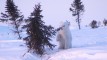 Thumbnail 21